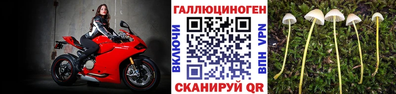 Псилоцибиновые грибы Psilocybine cubensis  ссылка на мегу   Афипский 
